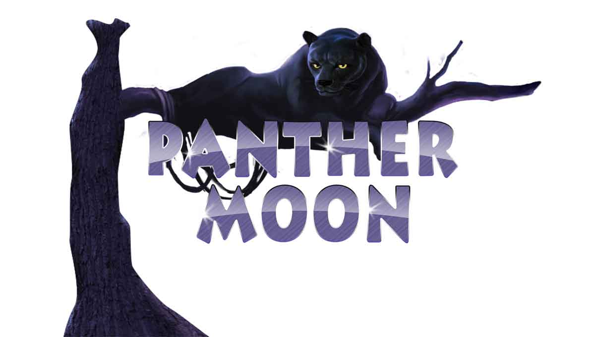 Petualangan Malam Mistis Bersama Panther Moon