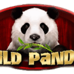 Serunya Petualangan Wild Panda di Layar Kamu