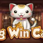 Keseruan Big Win Cat Spadegaming Bikin Betah Main
