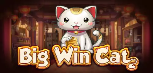 Keseruan Big Win Cat Spadegaming Bikin Betah Main